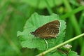 10 07 16_8985_edited-1